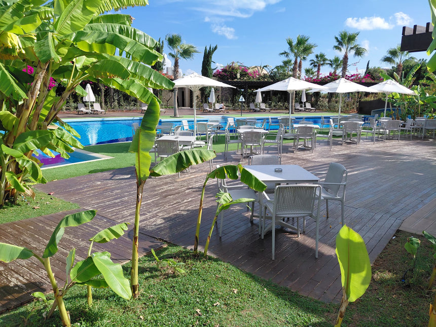 Nes Kollu Polipropilen Sandalye Beyaz