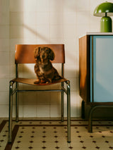 Jira Deri Sandalye Kahve